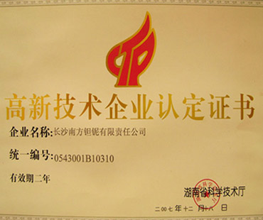 National Torch Plan